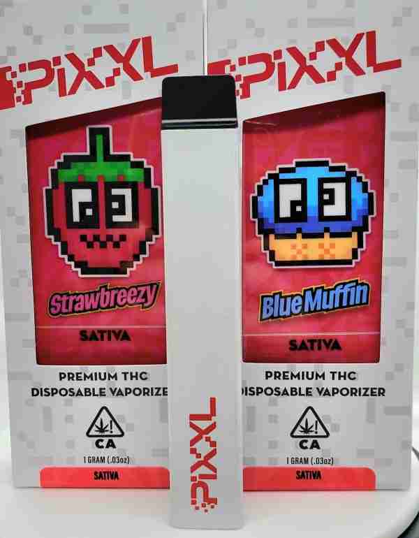 PIXXL 1G DISPOSABLE-(OUT OF INDICA) - Image 2