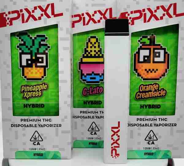 PIXXL 1G DISPOSABLE-(OUT OF INDICA)