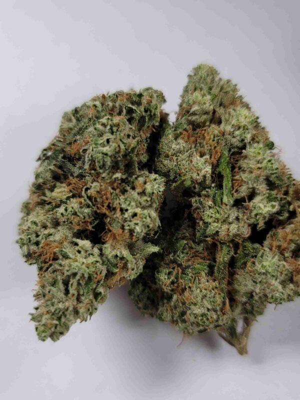 KIND OG!!