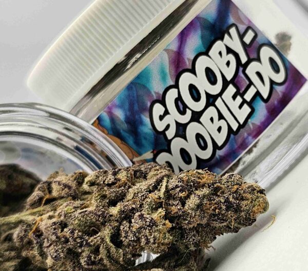 FIRE SUPPLY 4GRAM JARS! NEW DROP!! - Image 2