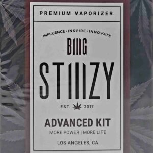 STIIIZY BIG BATTERY