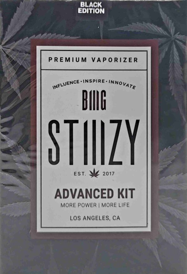 STIIIZY BIG BATTERY