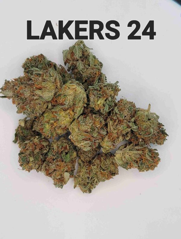PRE-PACKAGE 8TH!!-OUT OF LAKERS 24 - Image 3