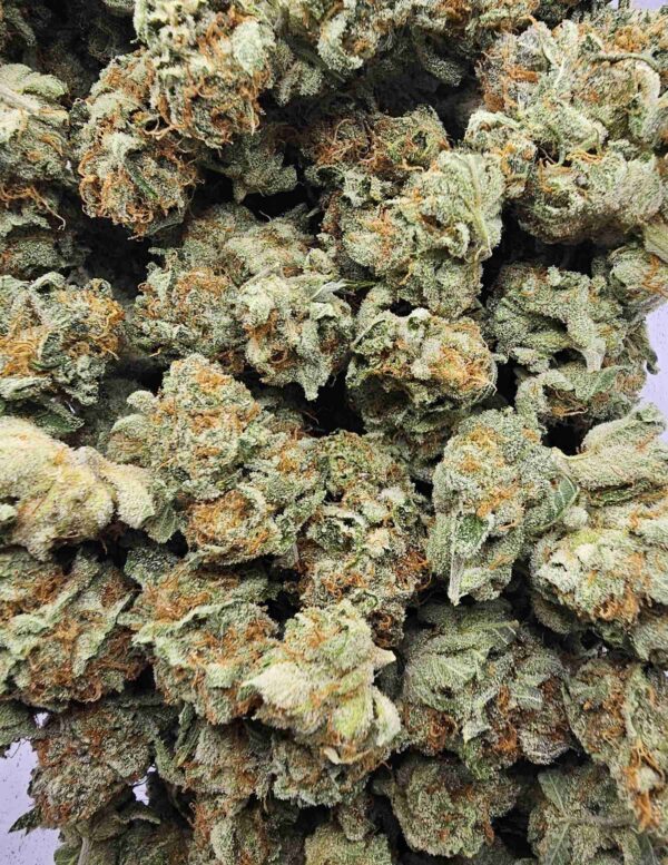 BLACKWATER OG KUSH MEDIUMS