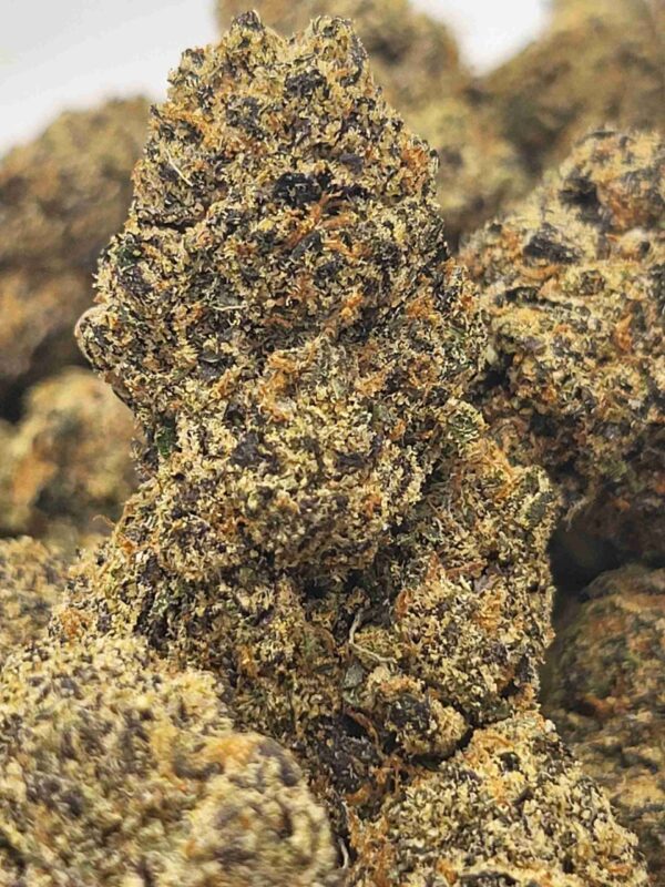 BLUEBERRY CHEESECAKE