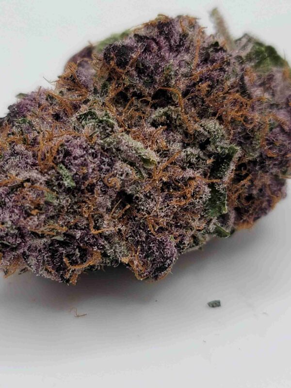 CHERRY TROPICANA - Image 2
