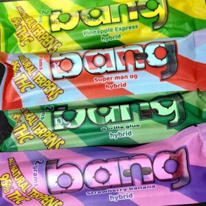 BANG DISPO-