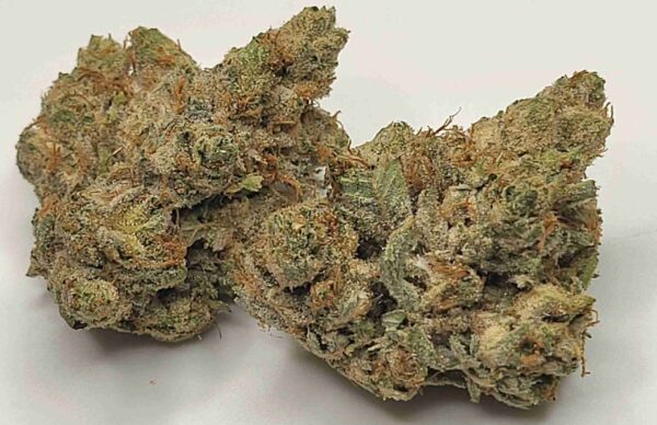 SKYWALKER OG