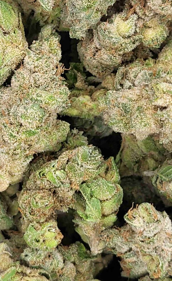 BANANA CREAM PIE - Image 2