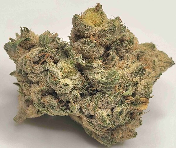 BANANA CREAM PIE