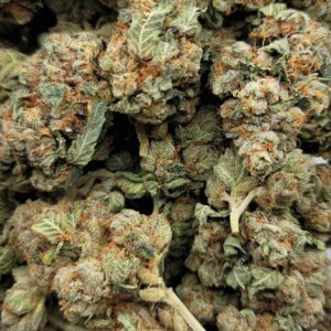 SFV OG