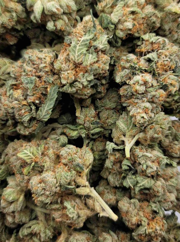 SFV OG