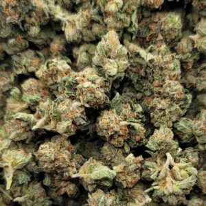TRUE OG