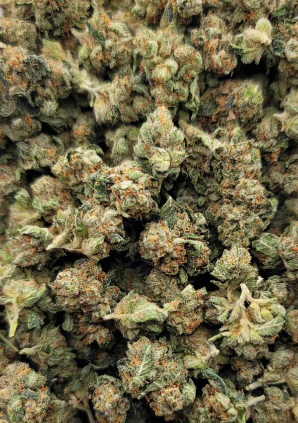 TRUE OG