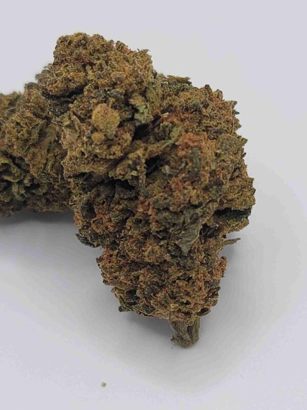 GREEN OGRE