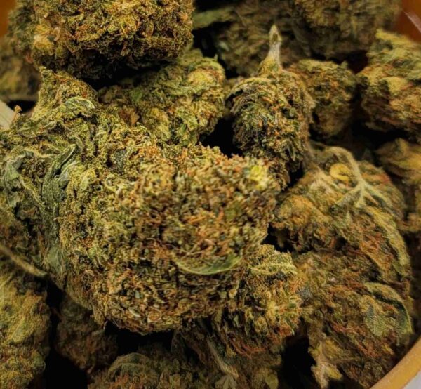HASHPLANT