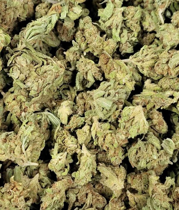 GRAPEFRUIT HAZE