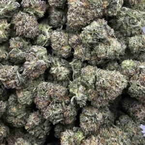 ANIMAL COOKIES