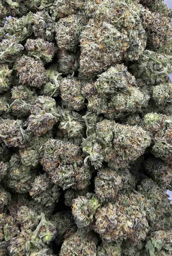 ANIMAL COOKIES