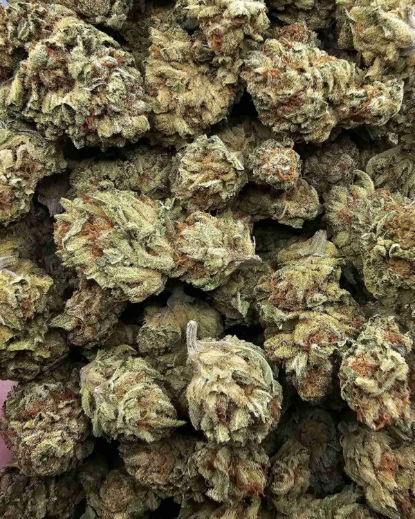 ORANGE CRUSH
