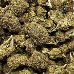 CHURCH OG