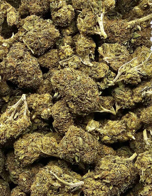 CHURCH OG