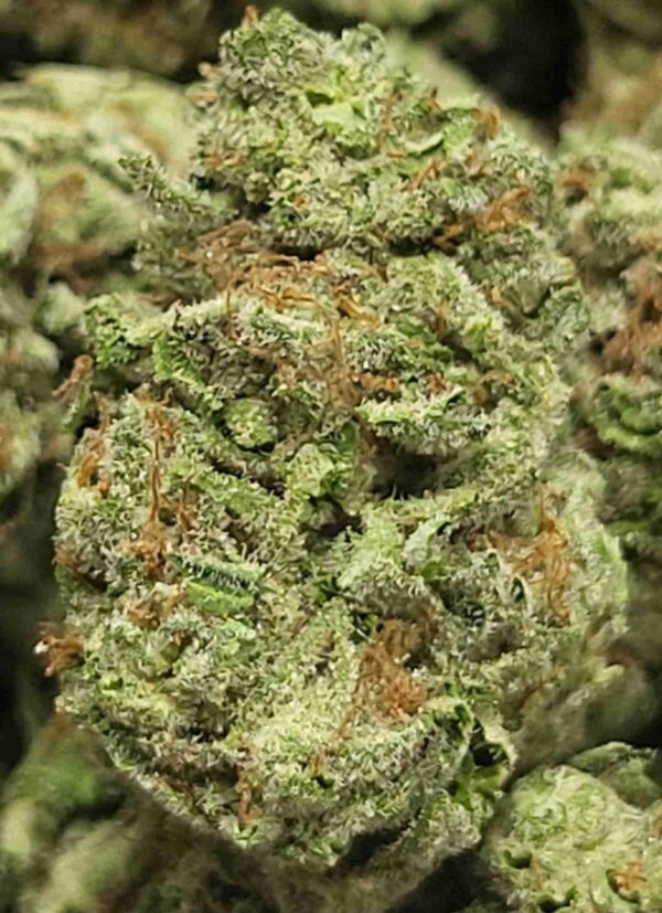 STRAWBERRY BANANA-FRESH DROP!