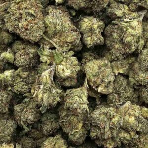 MASTER OG
