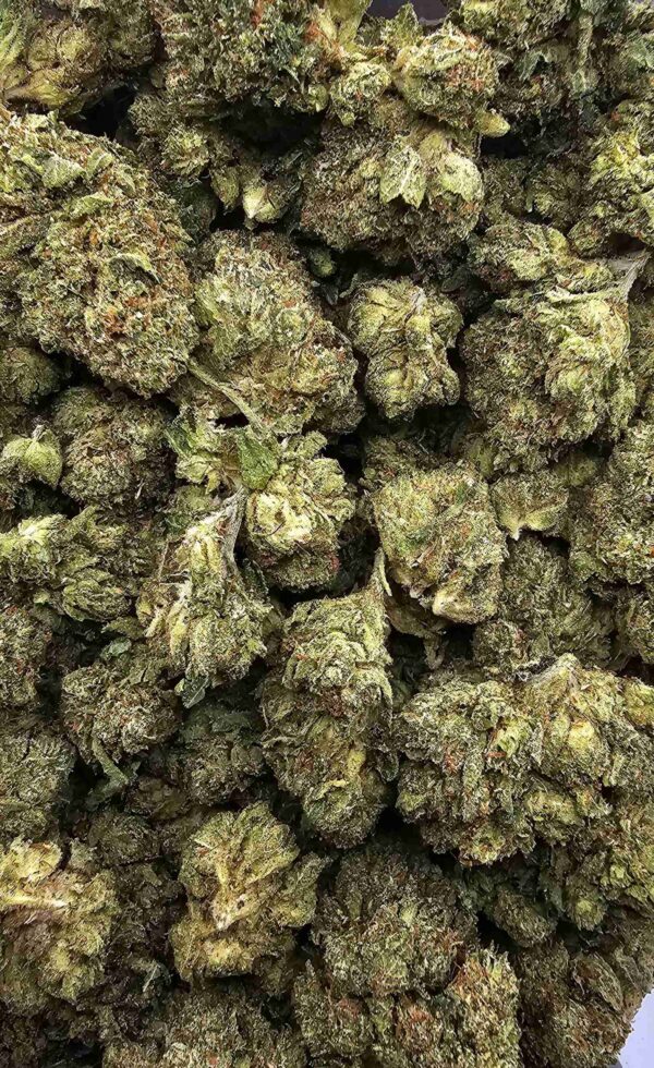 MASTER OG