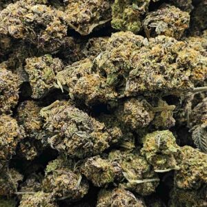 PURPLE URKLE