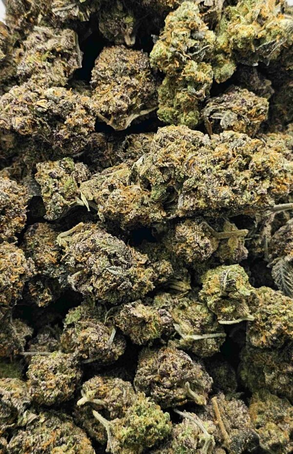 PURPLE URKLE