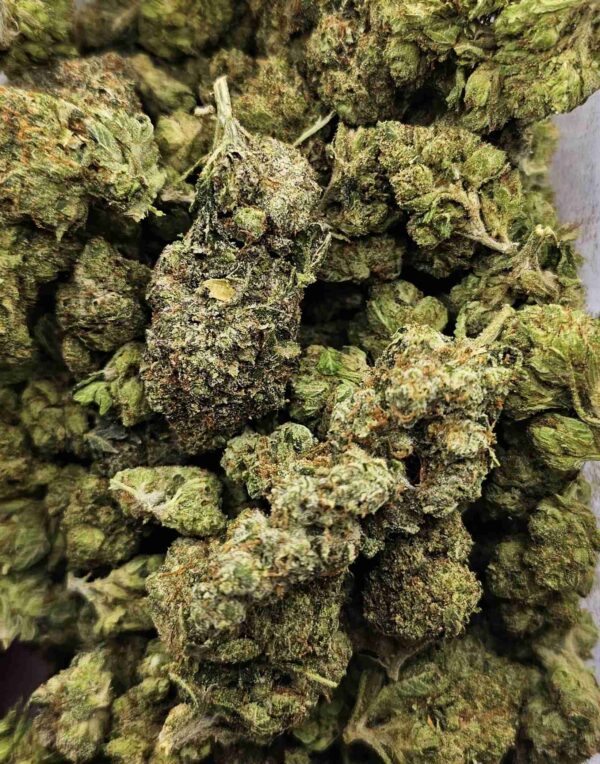 KULA OG