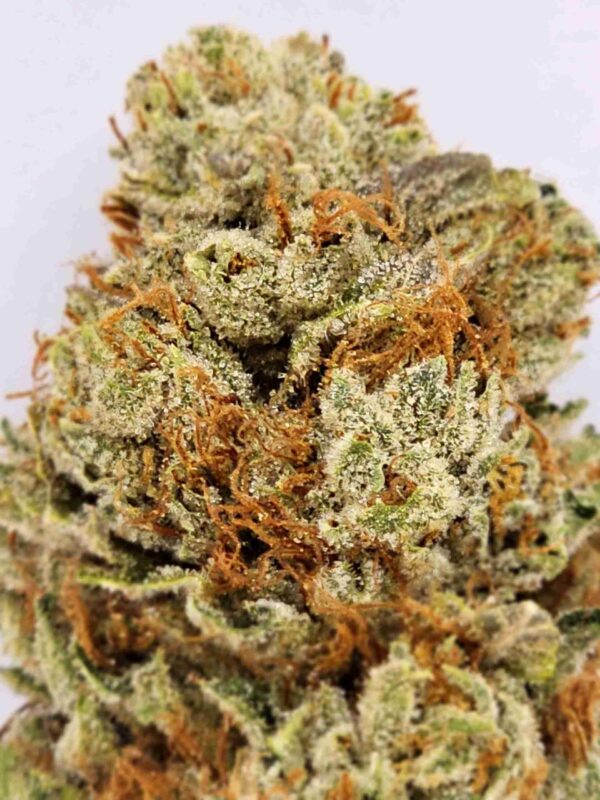DIAMOND OG (1/2 LIMIT) - Image 3