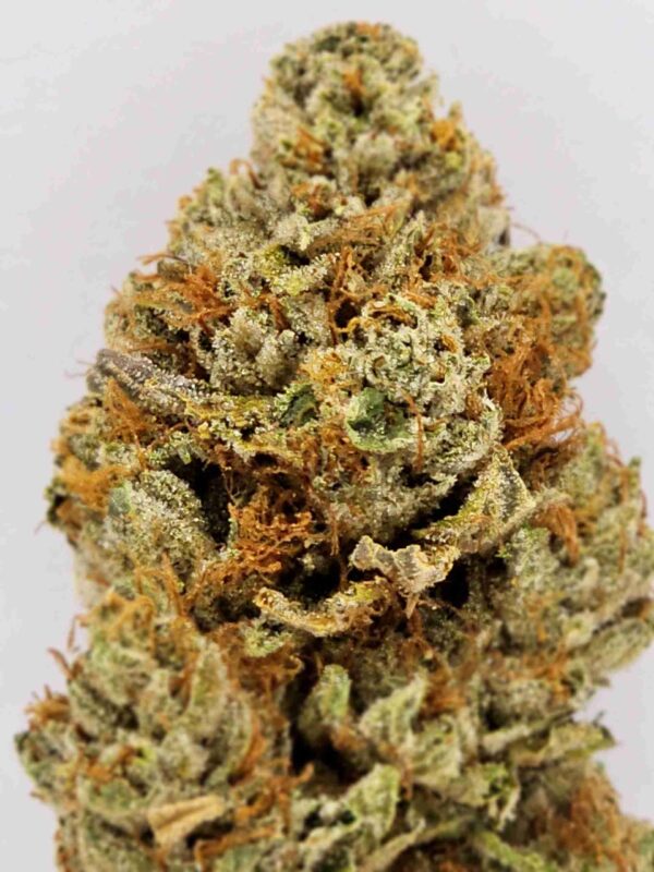 DIAMOND OG (1/2 LIMIT)