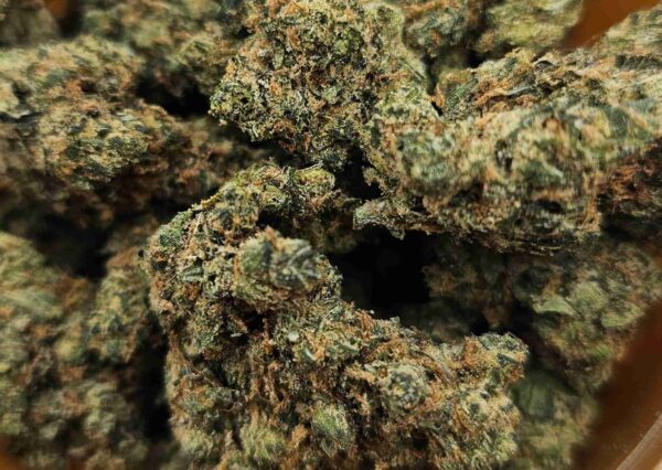 CANDY JACK SMALLS (SATIVA)