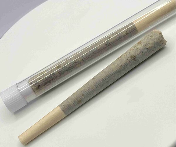 PREMIUM HOUSE CONES