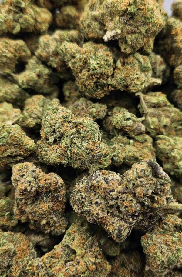 TROPICAL PUNCH