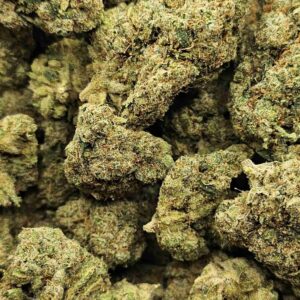 SUPER JACK (SATIVA)