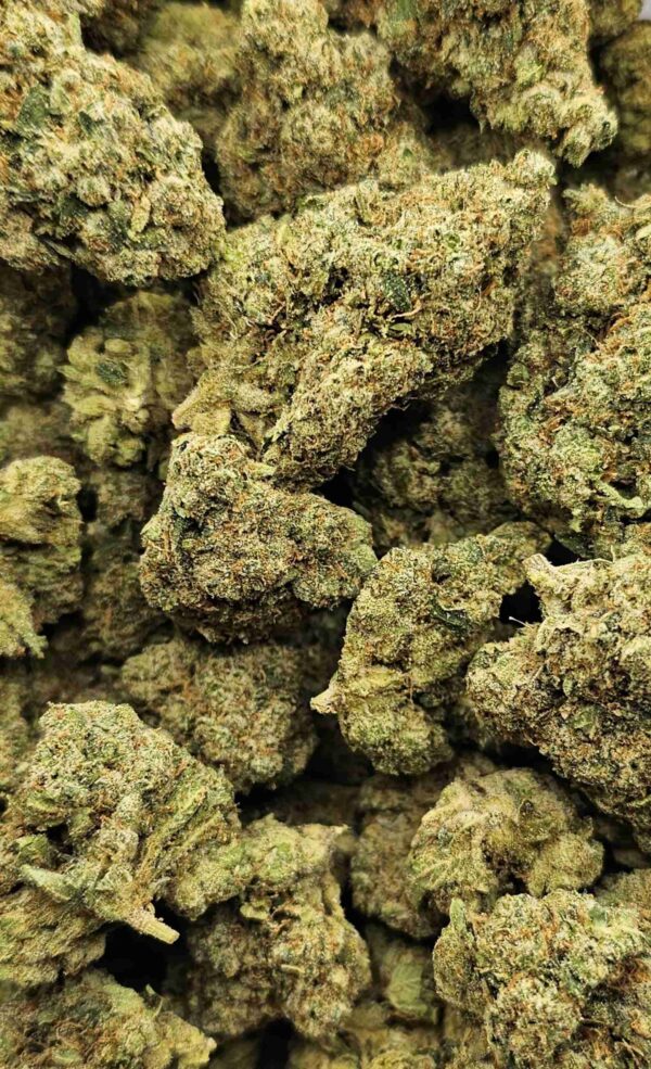 SUPER JACK (SATIVA)
