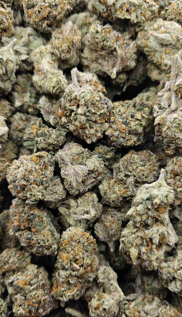BLUEBERRY TRAINWRECK (SATIVA)