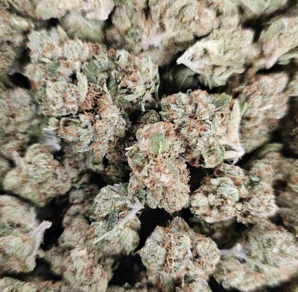DIABLO OG