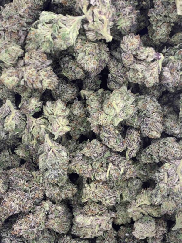 WHITE CHERRY GELATO